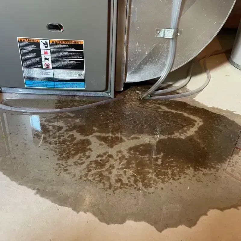 Appliance Leak Cleanup in Paris, IL